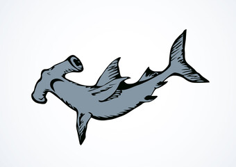 Seaweed. Vector drawing