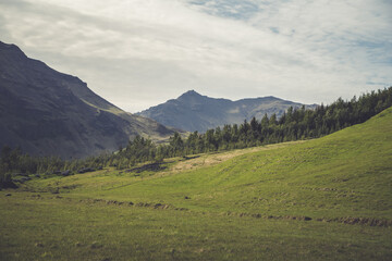 Fototapeta na wymiar Icelandic Mountain landscape in summer
