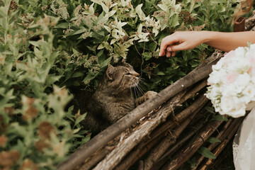 girl stroking a cat in the grass