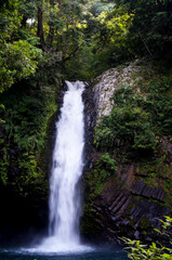 Naklejka premium 静岡県伊豆市の浄蓮の滝