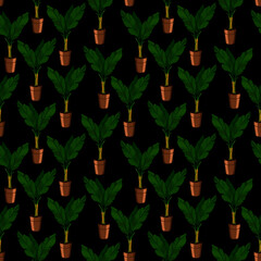 seamless pattern, in bright color, flowerpot with large leaves, ornament for wallpaper and fabric, wrapping paper, background for different design