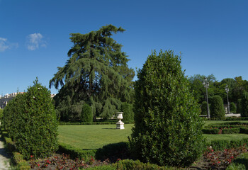 widok park drzewa niebo liście natura zieleń