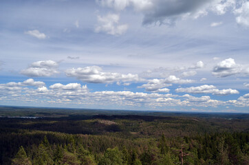 Fototapeta na wymiar Aerial.Forest on a summer day in Central Norway. Sweden on the horizon