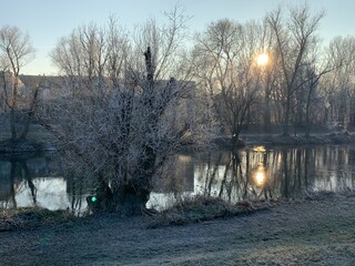 winter landscape with lake