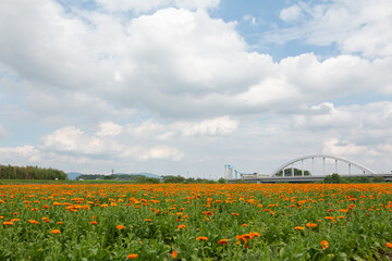 日本　茨城県　小貝川ふれあい公園からみた筑波山