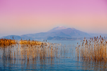 Panele Szklane Podświetlane  Wczesny poranek, wschód słońca nad jeziorem. Turzyca w jeziorze. Jezioro Garda (Lago di Garda), Włochy, Europa