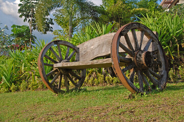 Wooden bench with wheels placed in green grass