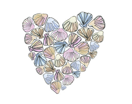 Watercolor poster postcard with hand drawn heart from sea shell, shellfish, cockel in sketch and doodle style on white background