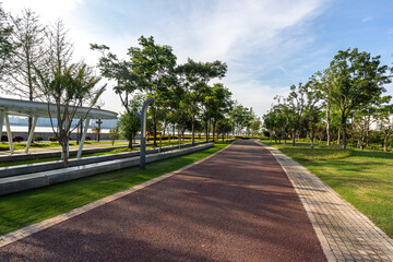 road in park