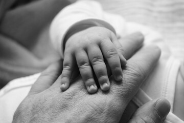 newborn baby hand with father
