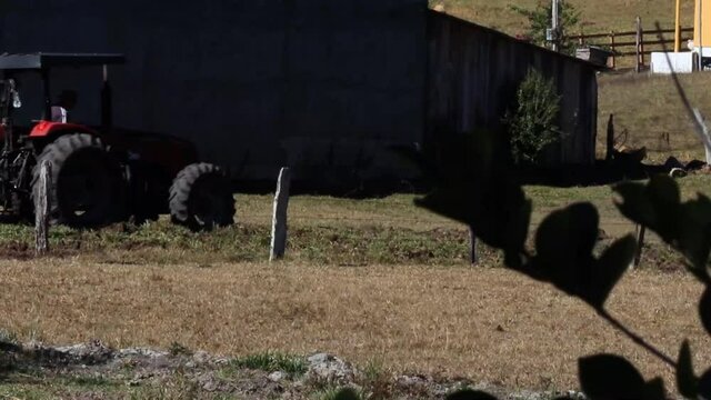 Trator agr&iacute;cola arando a terra