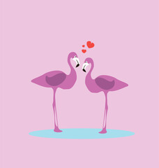 elegant flamingo birds couple pink background