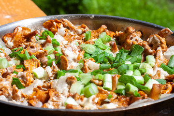 fried mushrooms. chanterelles with onions and herbs in a pan