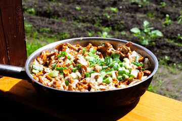 fried mushrooms. chanterelles with onions and herbs in a pan