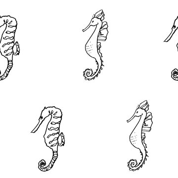 Line art hand drawn pattern with seahorse on white background