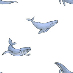 Watercolor hand drawn pattern with whale on white background