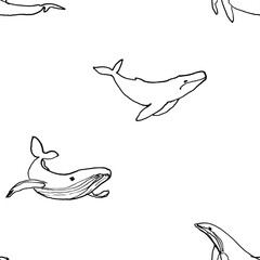 Line art hand drawn pattern with whale on white background