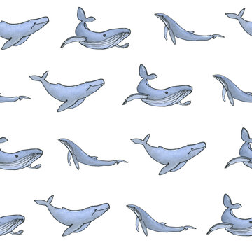Watercolor hand drawn pattern with whale on white background