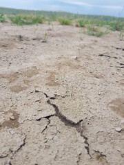 dry cracked earth