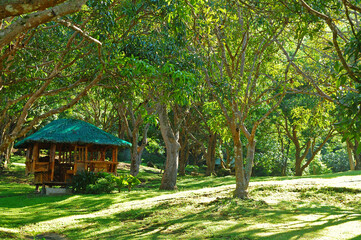 House hut at CCF Mount Makiling Recreation Center in Santo Tomas, Batangas, Philippines