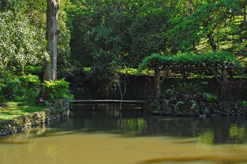 Obraz na płótnie Canvas Fish pond at CCF Mount Makiling Recreation Center in Santo Tomas, Batangas, Philippines