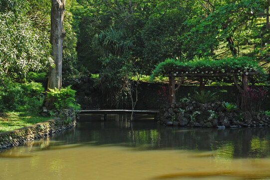 Fish pond at CCF Mount Makiling Recreation Center in Santo Tomas, Batangas, Philippines
