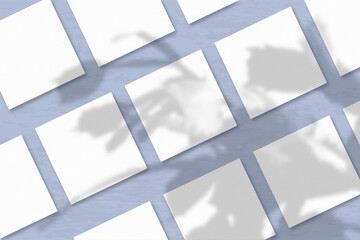 Several square sheets of white textured paper against a blue wall background. Natural light casts shadows from an exotic plant. Flat lay, top view
