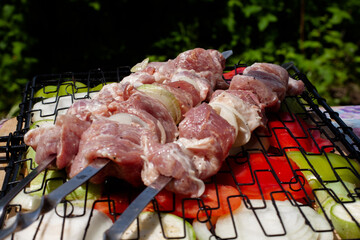 fresh pork meat on a skewer. preparation of a shish kebab.