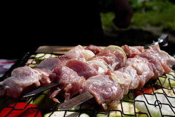 fresh pork meat on a skewer. preparation of a shish kebab.