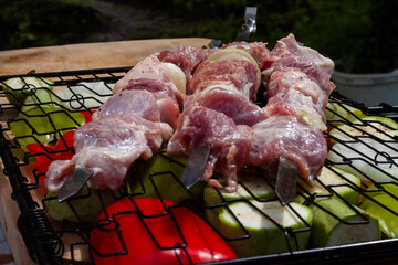 fresh pork meat on a skewer. preparation of a shish kebab.