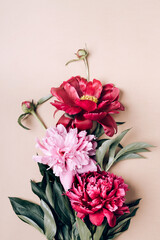 Bouquet of beautiful purple and pink peonies on beige background. Greeting card concept