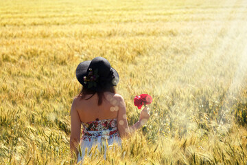 young adult beautiful woman on wheat field picking red poppy flowers on rural landscape in sunny day