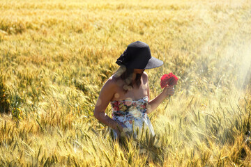 young adult beautiful woman on wheat field picking red poppy flowers on rural landscape in sunny day