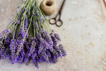 Obraz na płótnie Canvas Fresh lavender