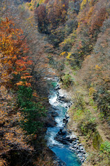 中津川渓谷の紅葉