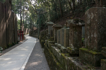 古いお寺のお墓地