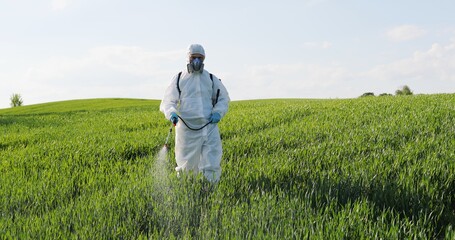 Caucasian male farmer in white protective costume, mask and goggles walking the green field and spraying pesticides with pulverizator. Man fumigating harvest with chemicals.