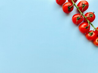 A branch of red cherry tomatoes on a blue background. Small and juicy vegetable is rich in vitamins and trace elements. Healthy food. Fresh and organic vegetables. Raw food. Top view with copy space.