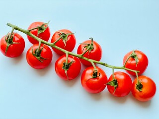 A branch of red cherry tomatoes on a blue background. Small and juicy vegetable is rich in vitamins and trace elements. Healthy food. Fresh and organic vegetables. Raw food. Top view with copy space.
