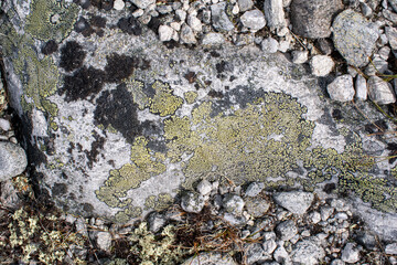 Obraz premium AskenPhoto