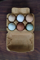 sechs bunte eier in aufgeklapptem karton aus pappe auf dunklem eichenbrett