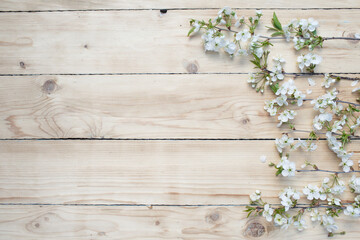 White flowers on a wooden background. Flowers are scattered on a wooden table. View from above