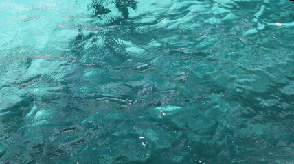 blue water of red sea