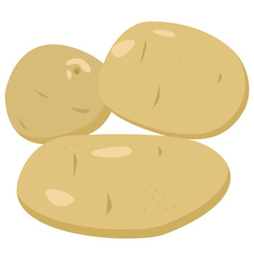 Potato. Isolated vector image on a white background. Clipart