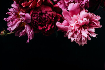Beautiful peonies bouquet on black. Floral background. Natural flowers pattern. Soft focus © colnihko