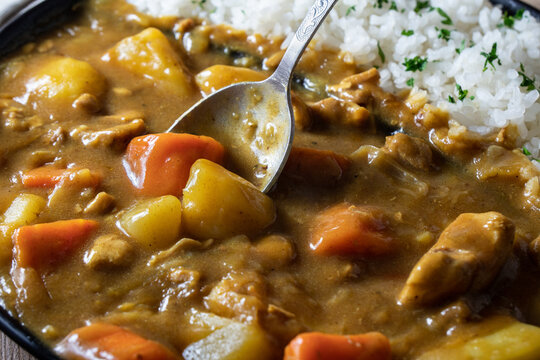 Japanese Chicken, Beef And Pork Curry. Asian Cuisine.