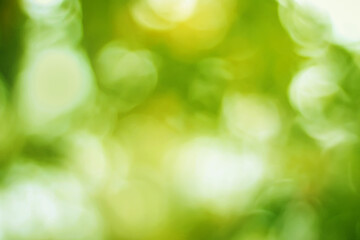 Obraz premium green bokeh background