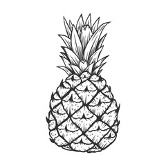 illustration of pineapple in engraving style. Design element for poster, label, sign, emblem, menu.