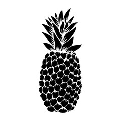 Obraz premium illustration of pineapple in engraving style. Design element for poster, label, sign, emblem, menu.
