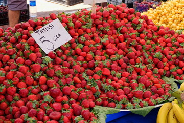 Turkey. Turkish Culture. Sights and nature of Turkey. Sea. The sun. Palms. Beach. Hotel.